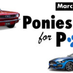 Ponies for Paws