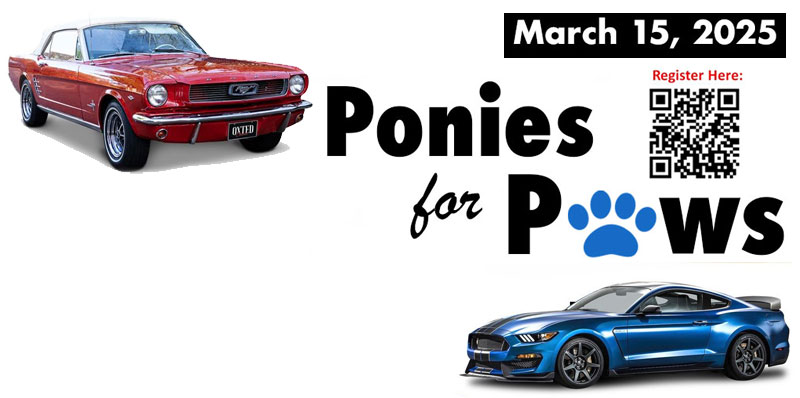 Ponies for Paws