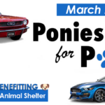 Ponies for Paws Annual Car Show