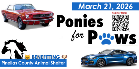 Ponies for Paws Annual Car Show